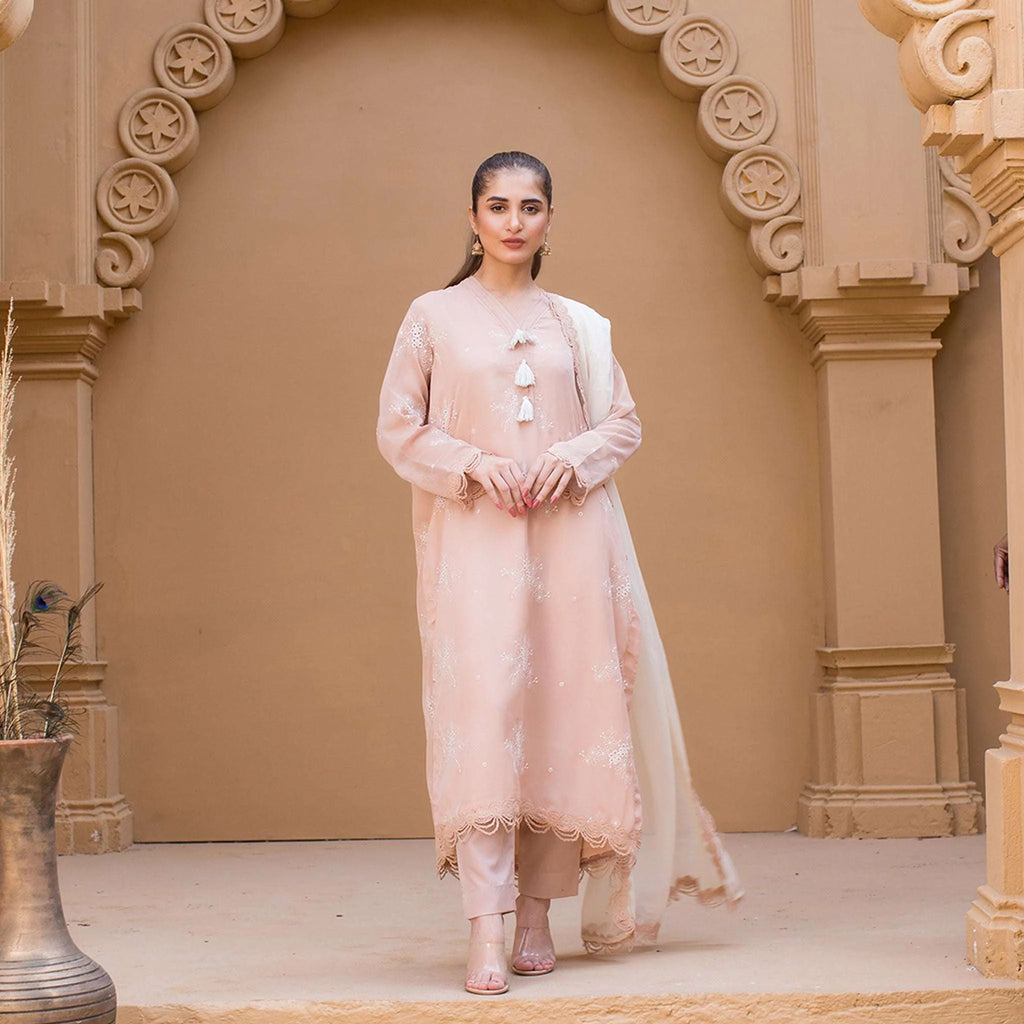 Chiffons luxurious Suit