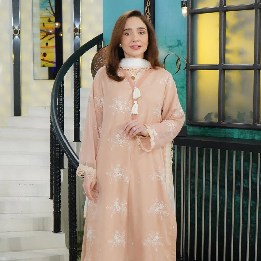 Chiffons luxurious Suit