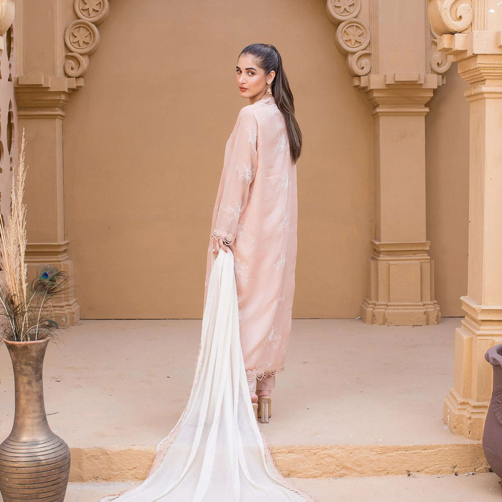 Chiffons luxurious Suit