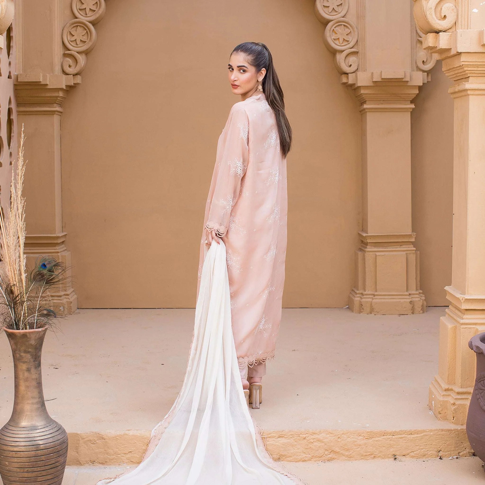 Chiffons luxurious Suit