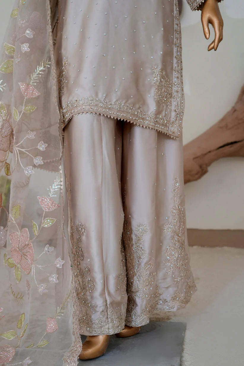 Haya Fawn