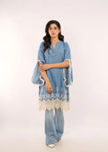 Stunner in Denim Plaidnpaisley