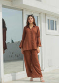 Brown Two Piece Dress
