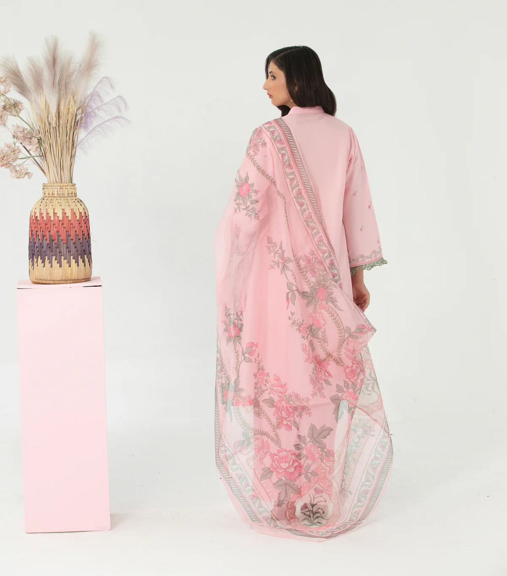 Designer Cotton Embroidered Suit with Net Dupatta