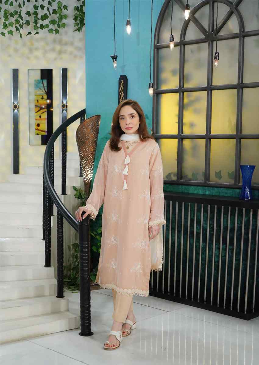 Chiffons luxurious Suit