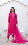 Punch Pink Dress