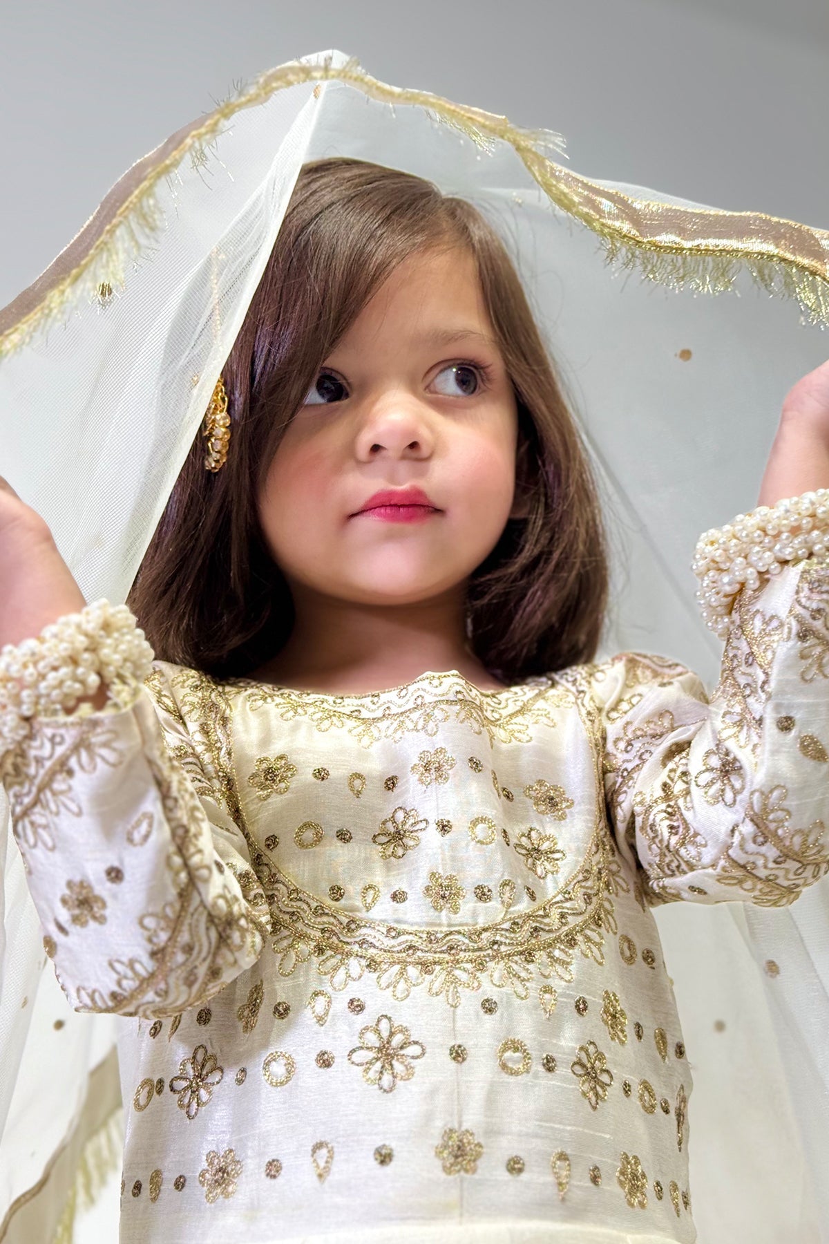 Mini Afroze Jahan